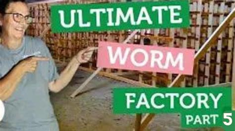 meme's worms farm.